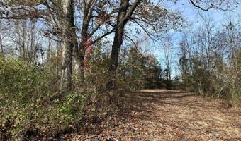 41 Belle Point Rd, Beattyville, KY 41311