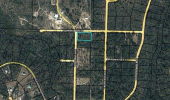 Lot 1 Wood Avenue, Alford, FL 32420