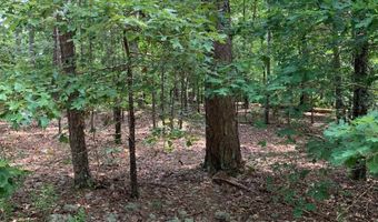 30 Alava Cir, Hot Springs Village, AR 71909