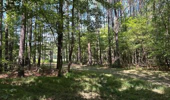 Pleasant Hill Road, Ashland, MS 38603