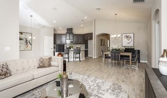 386 Lady Palm St, Apopka, FL 32703