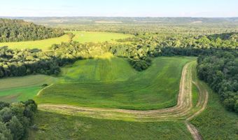 TBD Bear Pen Rd, Arkansaw, WI 54721