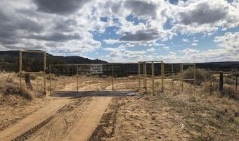 ROAD 4990, Bloomfield, NM 87413