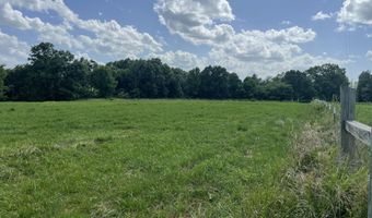 6609 County Road O-535, Ava, MO 65608