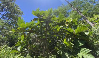15-1719 13TH Ave, Keaau, HI 96749