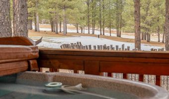 33 Clay Ter, Angel Fire, NM 87710