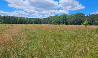 26 55 Acres Namozine Rd, Amelia Court House, VA 23002