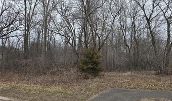 L3 B2 288th Avenue NW, Baldwin Twp., MN 55398