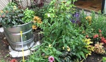 352 Colchester Ave 1, Burlington, VT 05401