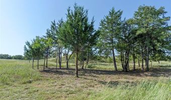 110 Pringle Ct, Alvord, TX 76225