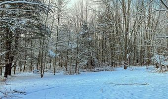 00 Fawn Lake Rd, Addison, NY 14801