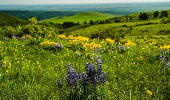 180 Styx Rd, Big Horn, WY 82833
