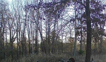 14782 County Road 7990, Bakersfield, MO 65609