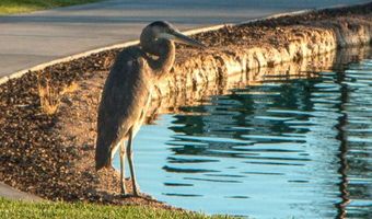 3400 S Ironwood Dr 1038, Apache Junction, AZ 85120