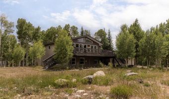 133 Gold Run Rd, Alma, CO 80440