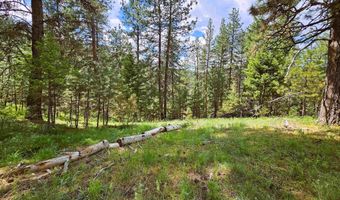 Lot 25 Pine Ridge Road, Boise, ID 83716