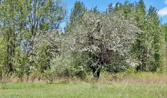 La Grant Road, Alger, MI 48610