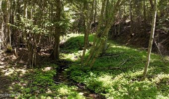 1710 Tower Mountain Rd, Blanchard, ID 83804