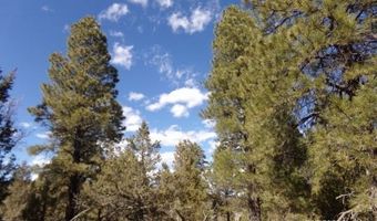 2805 N Dead Horse Lp, Alton, UT 84710