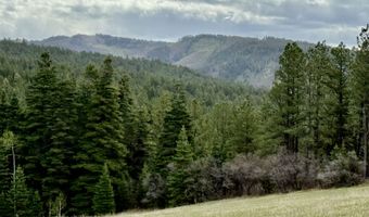 15098 CR 240, Bayfield, CO 81122