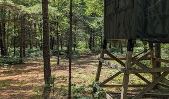 x Franklin Road, Alger, MI 48610