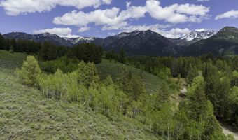 Lot 2 MININGER RD, Alpine, WY 83128