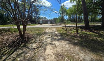 98 Old Cemetary Rd, Andrews, SC 29510
