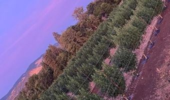 420 Reiten Dr, Ashland, OR 97520