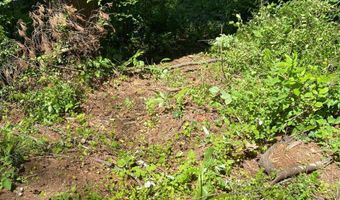 Peach Ridge Rd, Athens, OH 45701