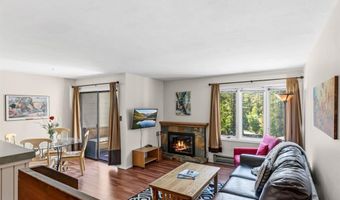 246 Broken Lance Dr 402, Breckenridge, CO 80424