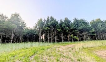 Edgewood Drive lot 5, Adams, WI 53910
