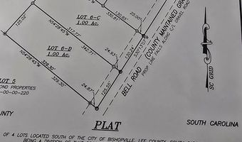 0 Bell Rd LOT 6C, Bishopville, SC 29010