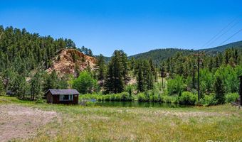 993 Highway 7 Business, Allenspark, CO 80510