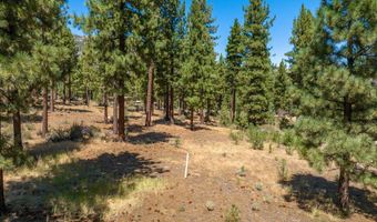 234 Redding Way, Carson City, NV 89705