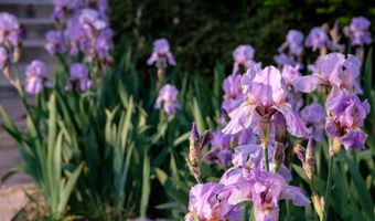 927 CAMINO VISTA RIO, Bernalillo, NM 87004