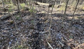 2254 E M30, Alger, MI 48610