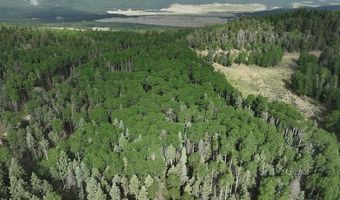 168 Mertz Pl Lot 65, Angel Fire, NM 87710