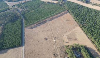 Lot A Hill Rd, Bishopville, SC 29010