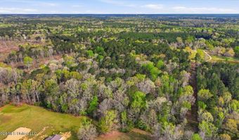 Harrisville Braxton Road, Braxton, MS 39044