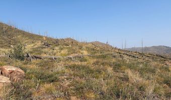 Pine Acres Rd, Bellvue, CO 80512