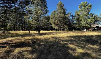 1290 Torrey Pines Ln, Angel Fire, NM 87710