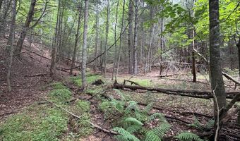 Hall Hollow Road, Austinville, VA 24312