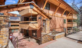 747 S Galena St 230 & 330, Aspen, CO 81611