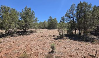 450 Arizona Rd, Ash Fork, AZ 86320