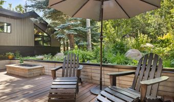 1145 Black Birch Dr, Aspen, CO 81611