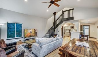 1095 Quartzville Rd, Alma, CO 80440
