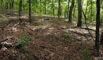 13 Hidden Vly Lks, Annapolis, MO 63620