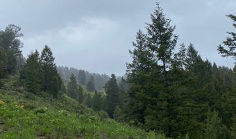 400 GROVER DRY FARM Rd, Afton, WY 83110