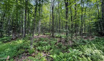 Jacobs Ladder Rd lot 9, Becket, MA 01223