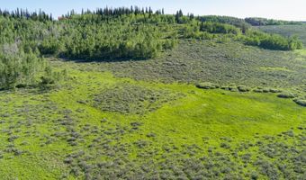 CARROLL Lane, Daniel, WY 83115